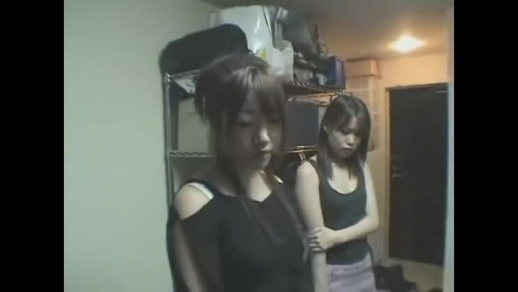 Lingerie sex video featuring Arisa Hatano and Maya Sakamoto